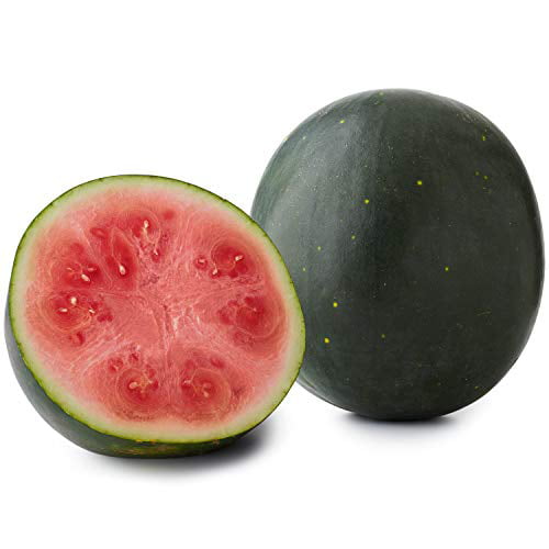 FD808 Rare Sweet Watermelon Seeds Fruit Garden Seed ~Blue~ 10PCs Free Shipping ✿